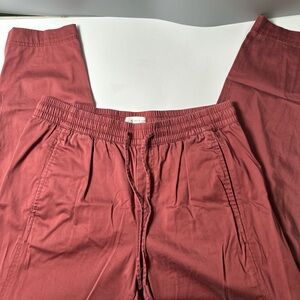 Lou & Gray for Loft rose colored pants size M